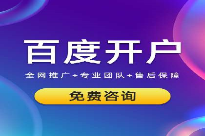 SEM优化策略：案例解读成功之道